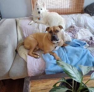 Meet your Posher, Sebreena